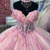 Gorgeous Pink Sweetheart Applique Beaded Sweet 16 Quinceanera A-Line Tulle Floor-length Prom Dress Birthday Dress Evening Dress Ball Gown HZ1024