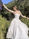 Chic Floral A-Line Spaghetti Strap Long Party Dress HZ1024